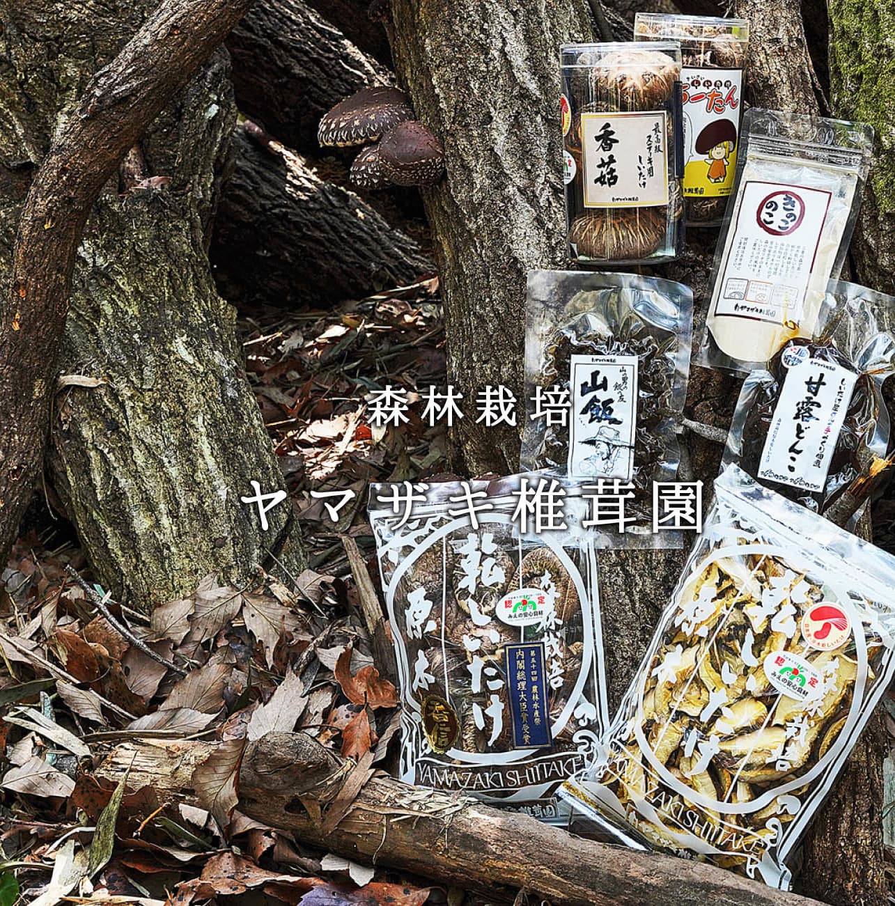 ヤマザキ椎茸園　商品紹介トップ